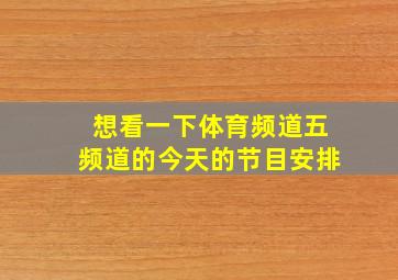 想看一下体育频道五频道的今天的节目安排