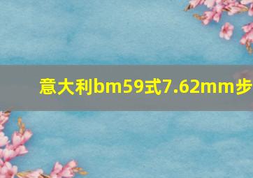 意大利bm59式7.62mm步枪