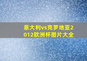 意大利vs克罗地亚2012欧洲杯图片大全