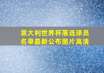 意大利世界杯落选球员名单最新公布图片高清