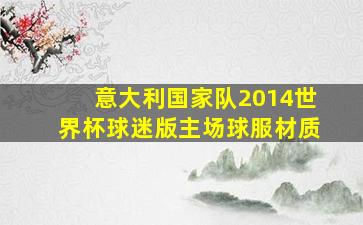 意大利国家队2014世界杯球迷版主场球服材质