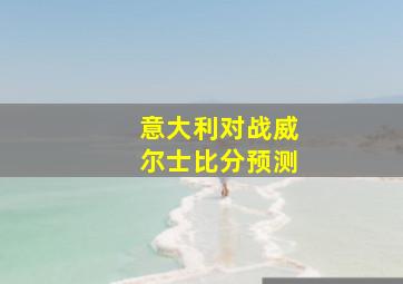 意大利对战威尔士比分预测