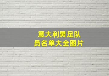 意大利男足队员名单大全图片