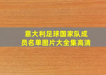 意大利足球国家队成员名单图片大全集高清