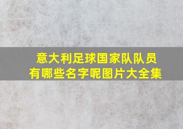 意大利足球国家队队员有哪些名字呢图片大全集