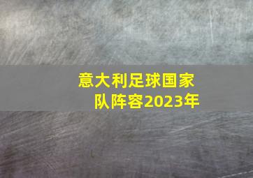 意大利足球国家队阵容2023年