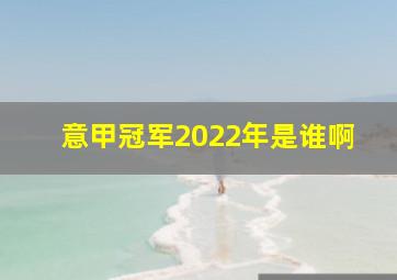 意甲冠军2022年是谁啊