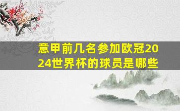 意甲前几名参加欧冠2024世界杯的球员是哪些