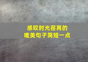 感叹时光荏苒的唯美句子简短一点