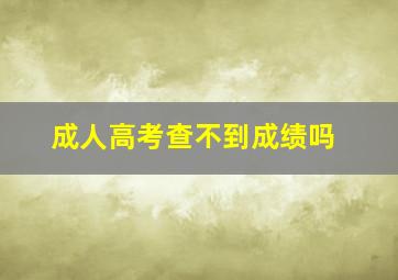 成人高考查不到成绩吗