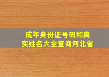 成年身份证号码和真实姓名大全查询河北省