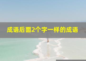 成语后面2个字一样的成语