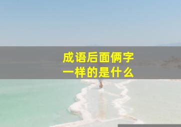 成语后面俩字一样的是什么