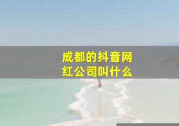 成都的抖音网红公司叫什么