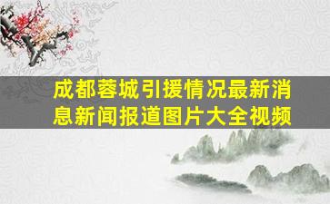 成都蓉城引援情况最新消息新闻报道图片大全视频