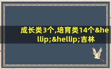 成长类3个,培育类14个……吉林再添20个特色产业小镇