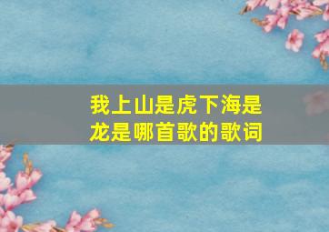 我上山是虎下海是龙是哪首歌的歌词