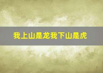 我上山是龙我下山是虎