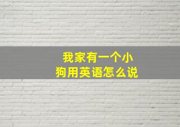 我家有一个小狗用英语怎么说