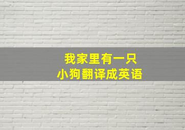 我家里有一只小狗翻译成英语