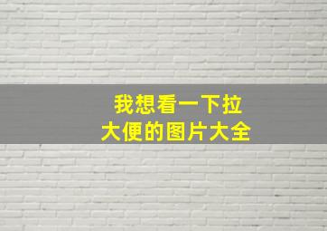 我想看一下拉大便的图片大全