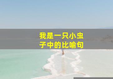 我是一只小虫子中的比喻句