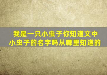 我是一只小虫子你知道文中小虫子的名字吗从哪里知道的