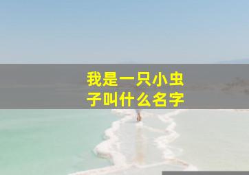 我是一只小虫子叫什么名字