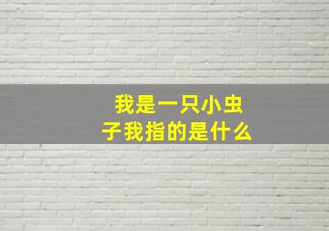 我是一只小虫子我指的是什么