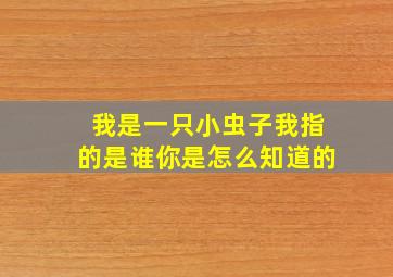 我是一只小虫子我指的是谁你是怎么知道的