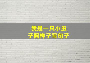 我是一只小虫子照样子写句子