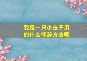 我是一只小虫子用的什么修辞方法呢