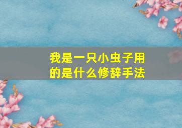 我是一只小虫子用的是什么修辞手法