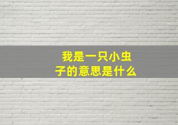 我是一只小虫子的意思是什么