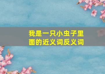 我是一只小虫子里面的近义词反义词