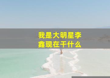 我是大明星李鑫现在干什么