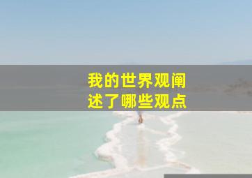 我的世界观阐述了哪些观点