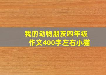 我的动物朋友四年级作文400字左右小猫