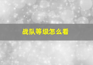 战队等级怎么看