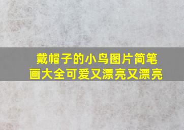 戴帽子的小鸟图片简笔画大全可爱又漂亮又漂亮