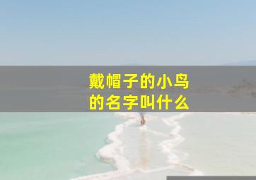 戴帽子的小鸟的名字叫什么