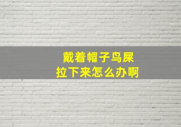 戴着帽子鸟屎拉下来怎么办啊