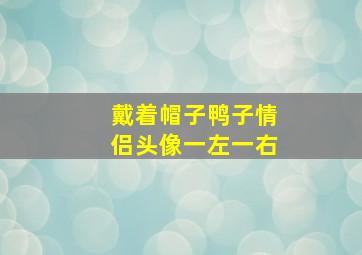 戴着帽子鸭子情侣头像一左一右