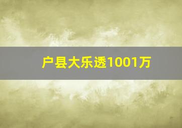 户县大乐透1001万