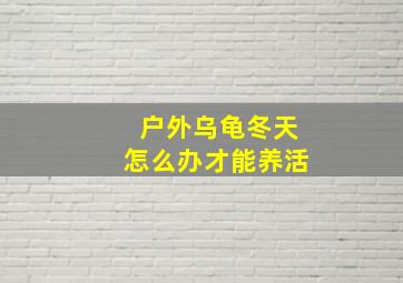 户外乌龟冬天怎么办才能养活