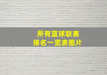 所有篮球联赛排名一览表图片