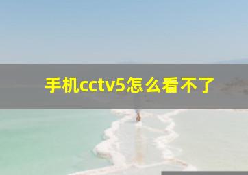 手机cctv5怎么看不了