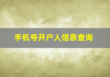 手机号开户人信息查询