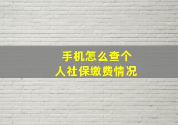 手机怎么查个人社保缴费情况