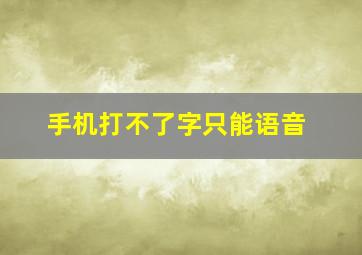 手机打不了字只能语音